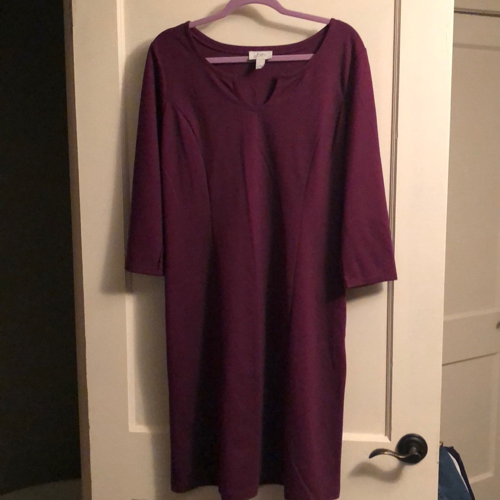 Ann Taylor Loft Dress
